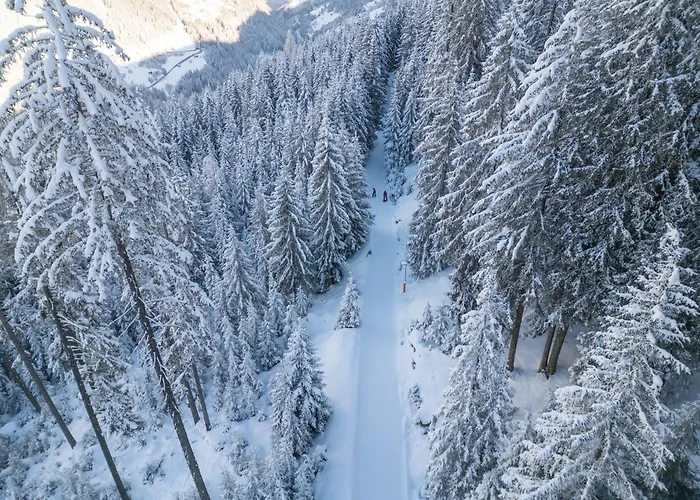 Exklusiv Und Elegantes In Der Residenz Silvretta Appartement *
